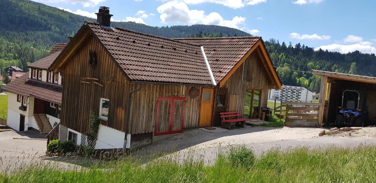 Ferienhof Ziegler- Sonnenschein Baiersbronn Exteriör bild