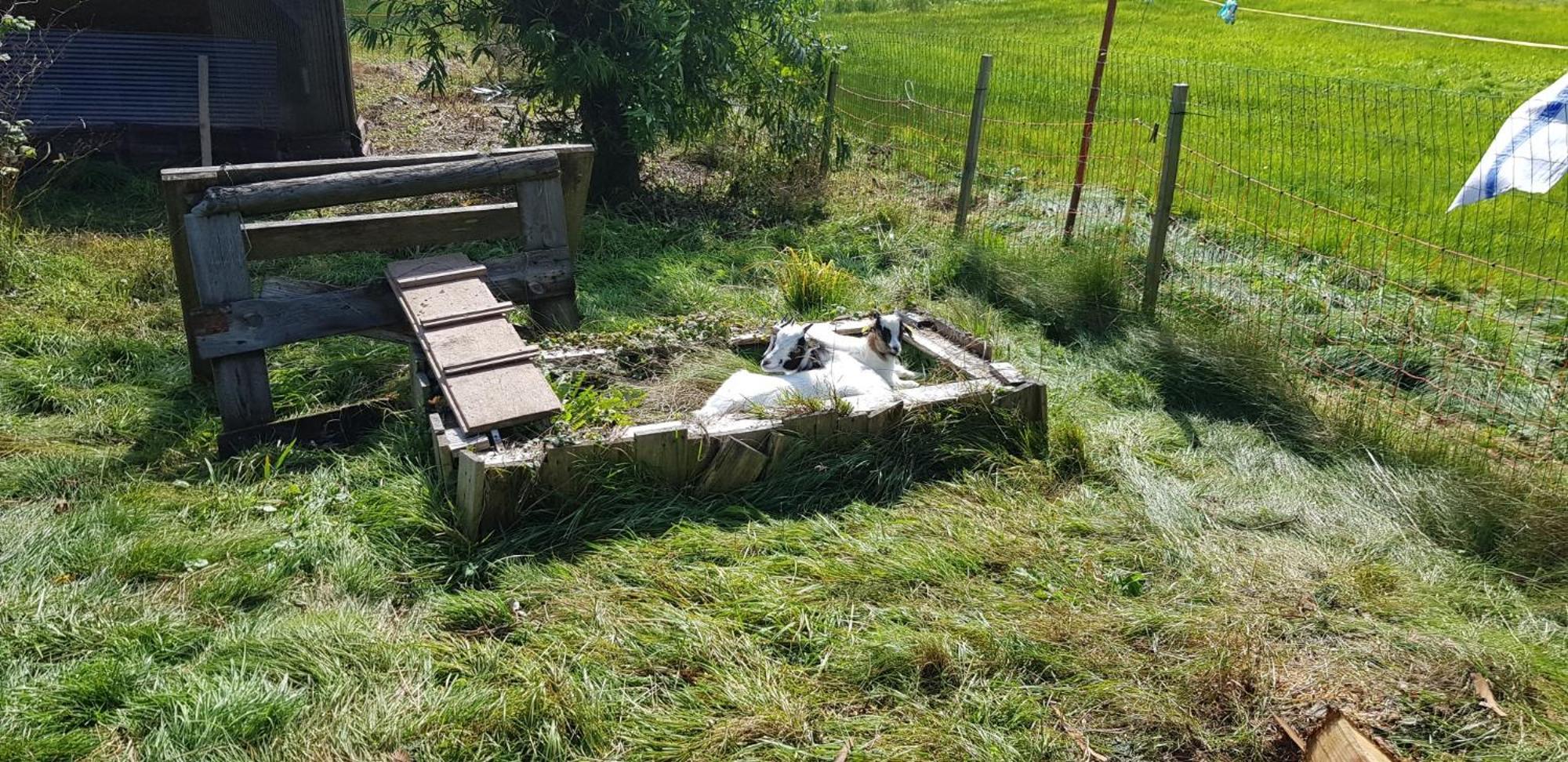 Ferienhof Ziegler- Sonnenschein Baiersbronn Exteriör bild